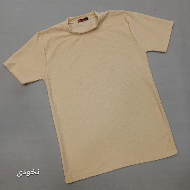 تیشرت بیسکویتی مردانه نخی ساده خنک تابستانی سایز لارج تا سه ایکس لارج